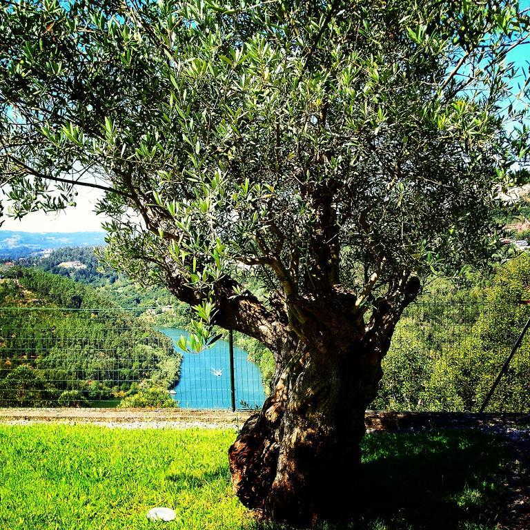 Quinta Das Tilias Douro Valley Cabaca Exterior photo